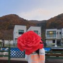 자이언트청주 이미지