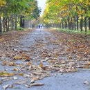 경주산림환경연구원 이미지