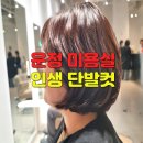 운정 미용실 이가자X엘피지오 스타필드점 단발 레이어드컷 미니 디자이너 감동 후기