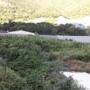 금곡농약 이미지