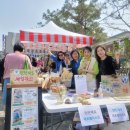 마당환경 이미지