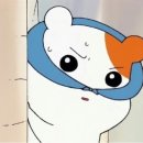 화끈한불족발 이미지