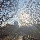 오성산