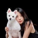 덕양구청 휴게공간 | [상암동 사진관] 강아지 프로필사진 촬영, 덕양구 &#34;스튜디오 공감&#34; 후기