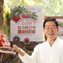 지리산 다온 이미지