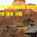 봉화 티스토리