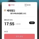 쪼야 Daum카페