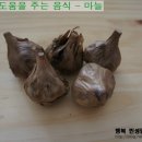 [임풀맘8기]착상에 좋은 음식,착상후 증상 이미지