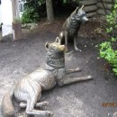 발토(BALTO) 이미지