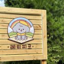 레티피코 이미지