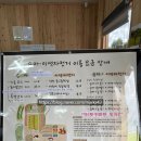 제주조랑말타운 | [공지] 제주 목장카페 밭디 / 제주 조랑말 타운 아이와 승마체험 / 말 먹이주기 체험 / 포토존 추천 후기