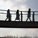 서천 금강2경 도보여행길 이미지