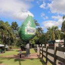 월드농장 이미지