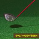 서광스크린골프연습장 네이버블로그