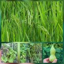 해원농장 이미지