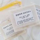 휴먼앤펫 이미지