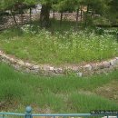 상주 낙화담 소나무 이미지