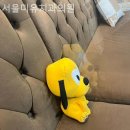 미유치과의원 이미지