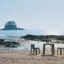 오션프로젝트