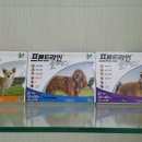 세교엘약국 이미지