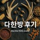다한 | 다한방 후기 다한방다이어트 효능과 부작용 모두 알아보고 할인 쿠폰 받자