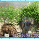 문수실버복지관 이미지