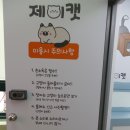 구미 고양이카페 분양 제이캣 이미지