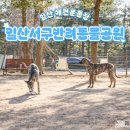 애견운동공원(동절기) | 고양시 일산 무료 대형 애견운동장, 일산서구 반려동물공원 강아지 놀이터