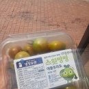송산휴게소(통감자) 네이버블로그