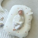 당근제이 | 제이앤제나 역방쿠 핫딜 내돈내산 후기(각도, 소재, 당근 비추, 단점, 엔젤앤비 비교)