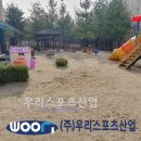 도둔초등학교 이미지