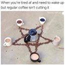 우즈커피 이미지