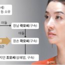 법인전의고씨