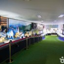 주문진 종합시장 이미지