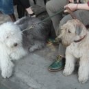 경리단길의원 이미지