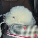 영랑호수공원 이미지