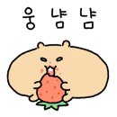 이애영 꼬마김밥 이미지