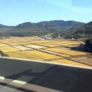 진주JC(부산) 이미지