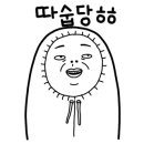 타미나 이미지