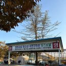 아띠캠핑장 이미지