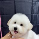댕그랑댕