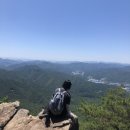 미혼술관 | 대전 동해마루, 다이아몬드 횟집 후기 ㅣ 일하고 운동하고 등산하고 술먹는 야르한 미혼의 삶
