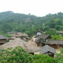 고향김치 이미지