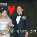 미나축사 이미지