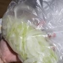 산수광주