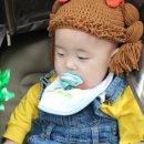 자연생태공원 수목원 야외1 이미지