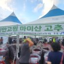 진안고원시장 | 진안고원 마이산 고추시장 다녀왔어요, 진안군 고추시장 오일장 날짜 장소 주차 후기 ㅋ