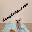 송내동3 이미지