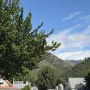 카페인온다(카페in ONDA) | [뉴질랜드남섬여행] 퀸즈타운 여행 후기 ① (뉴질랜드 와이너리 투어 + 카와라우 번지점프)