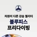 블루피스 네이버블로그